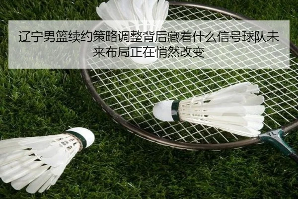 辽宁男篮续约策略调整背后藏着什么信号球队未来布局正在悄然改变